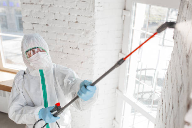 Best Forensic Mold Investigation  in Cotati, CA