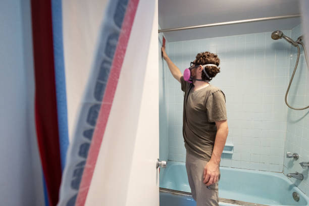 Reliable Cotati, CA Mold Removal Solutions