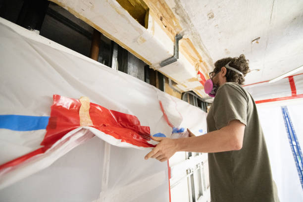  Cotati, CA Mold Removal Pros