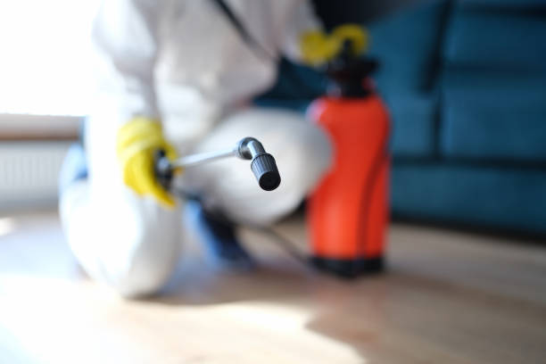 Best Environmental Consulting for Mold Prevention  in Cotati, CA