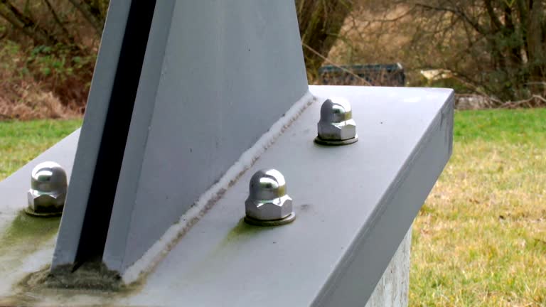 Best Attic Mold Removal  in Cotati, CA